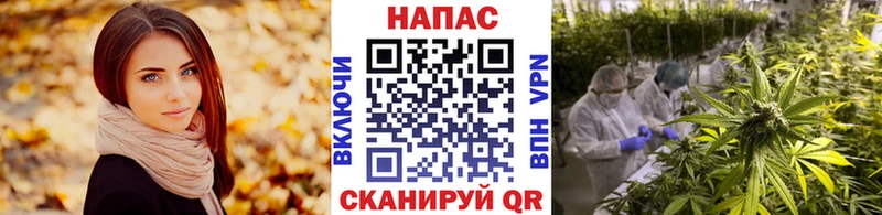 МЕФ Новороссийск