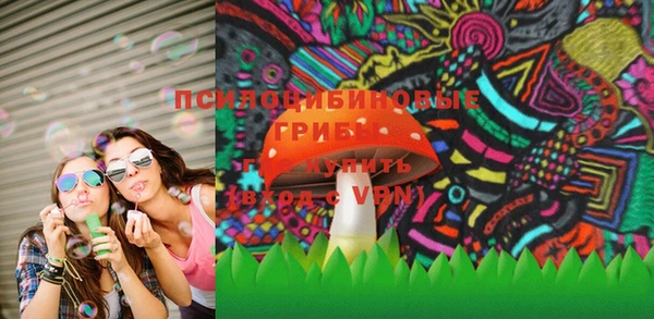 МДПВ Богданович