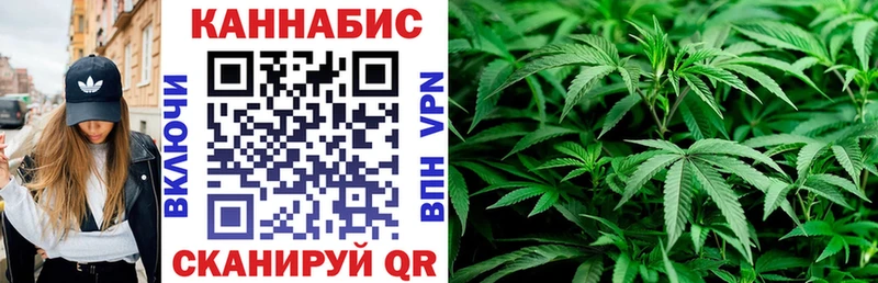 где купить наркоту  гидра tor  Конопля Amnesia  Новороссийск 